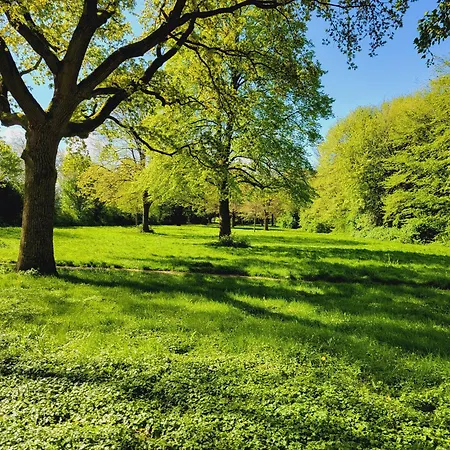 Appartement Am Park *